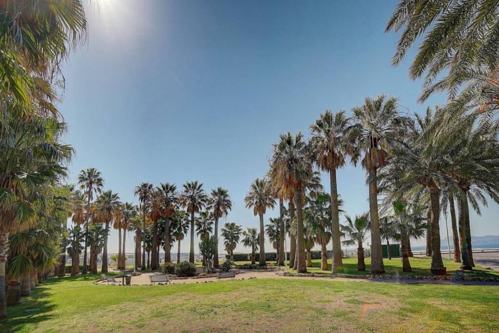 Le Palm - 100M Plage - Croisette - Verriere Cote D'Azur Apartment Cannes Bagian luar foto